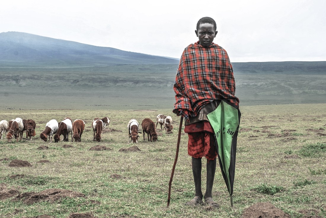 embulbul-depression-herder