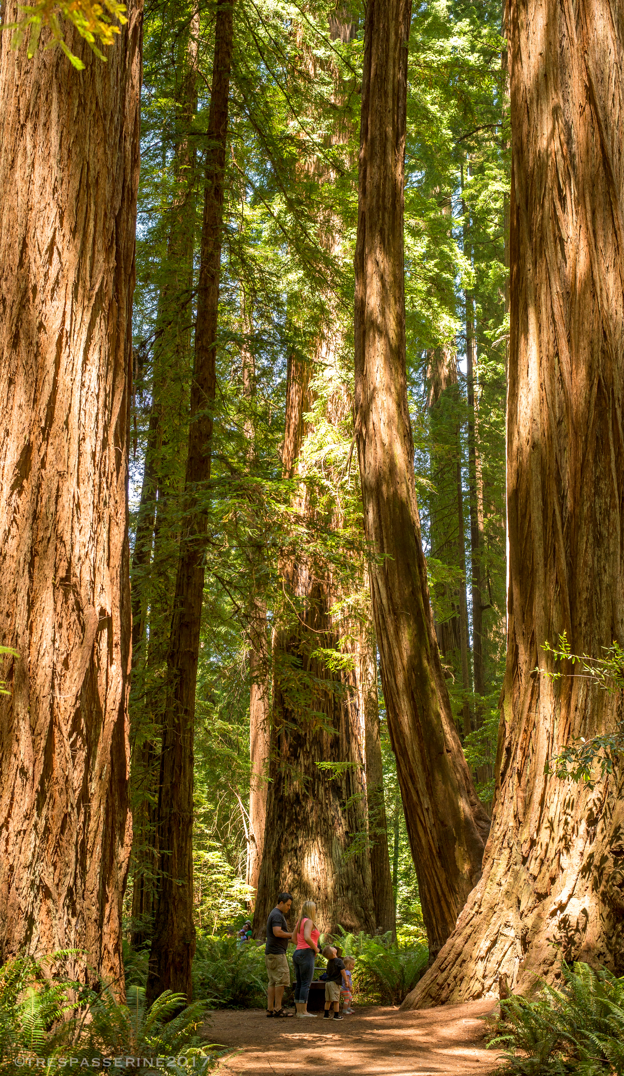 Family surrounded by three giants